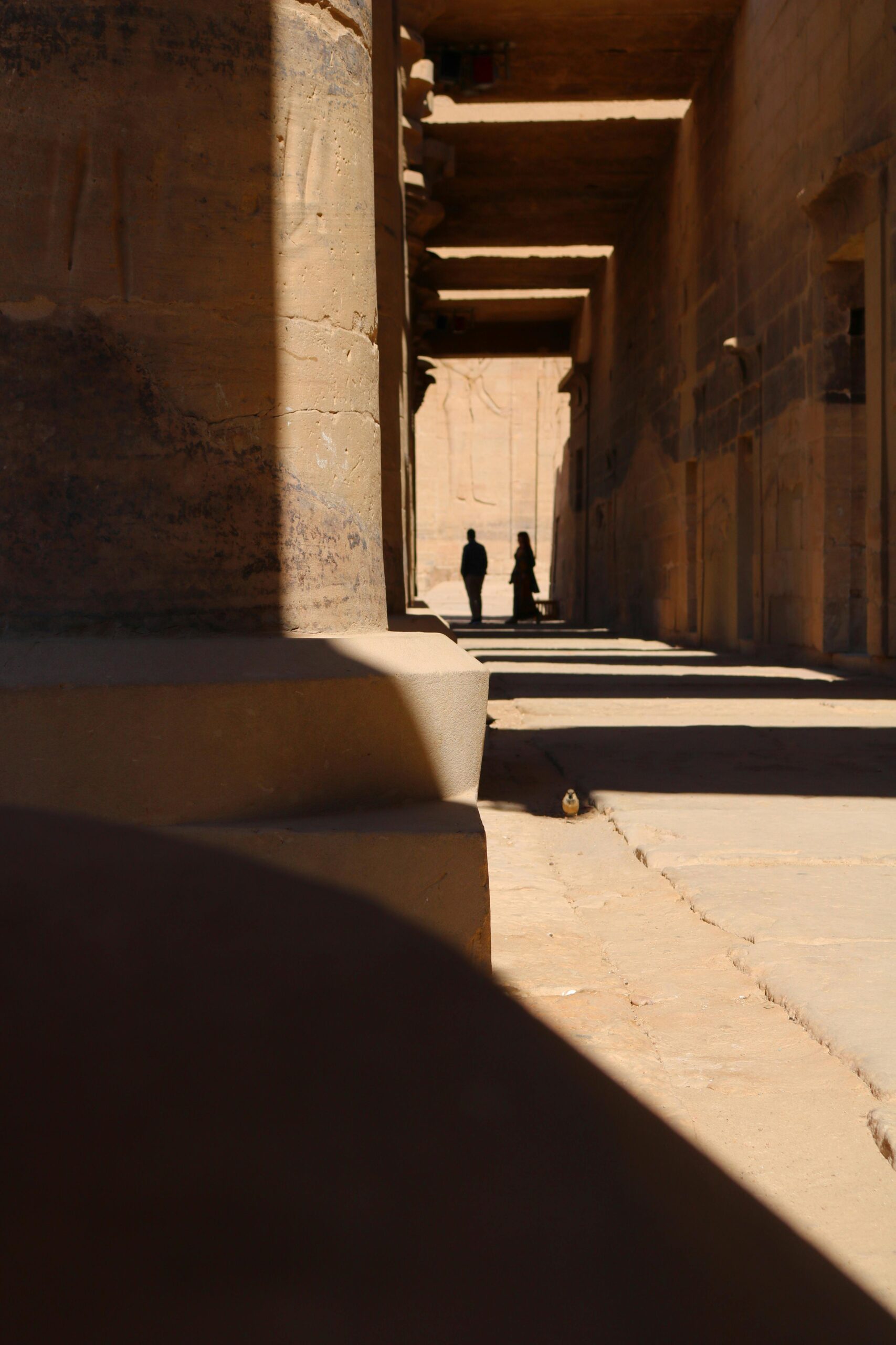 pexels-mostafa-fathallah-350219195-14212456