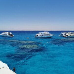 Astonishing Red Sea Safaga Overday from Luxor – Code SSLRS 6