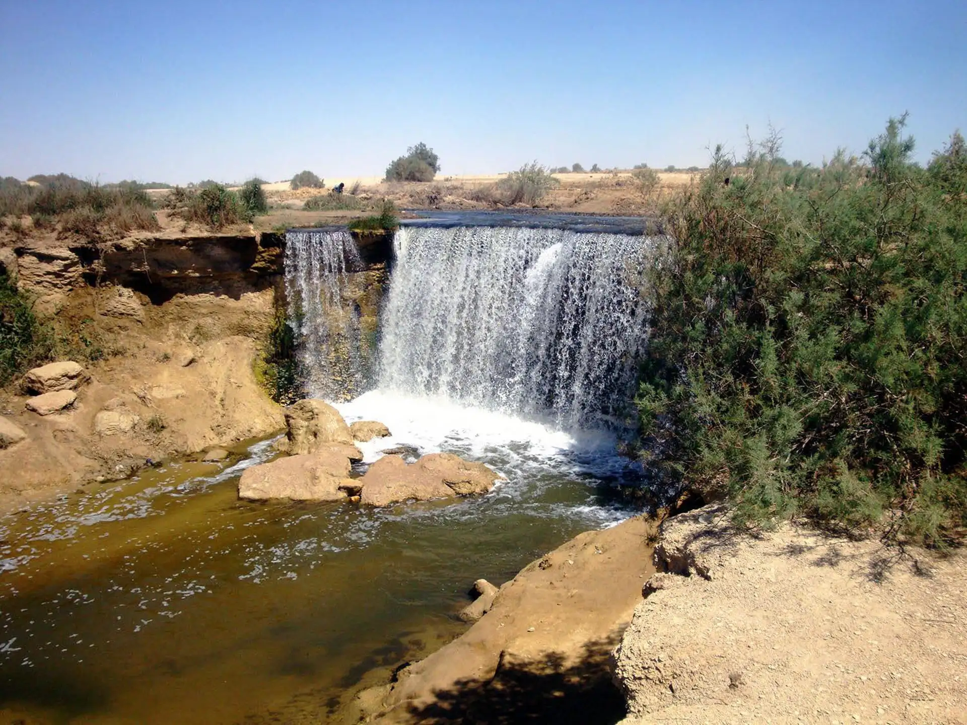 Full-Day El Fayoum & Wadi El Hitan Tour 1