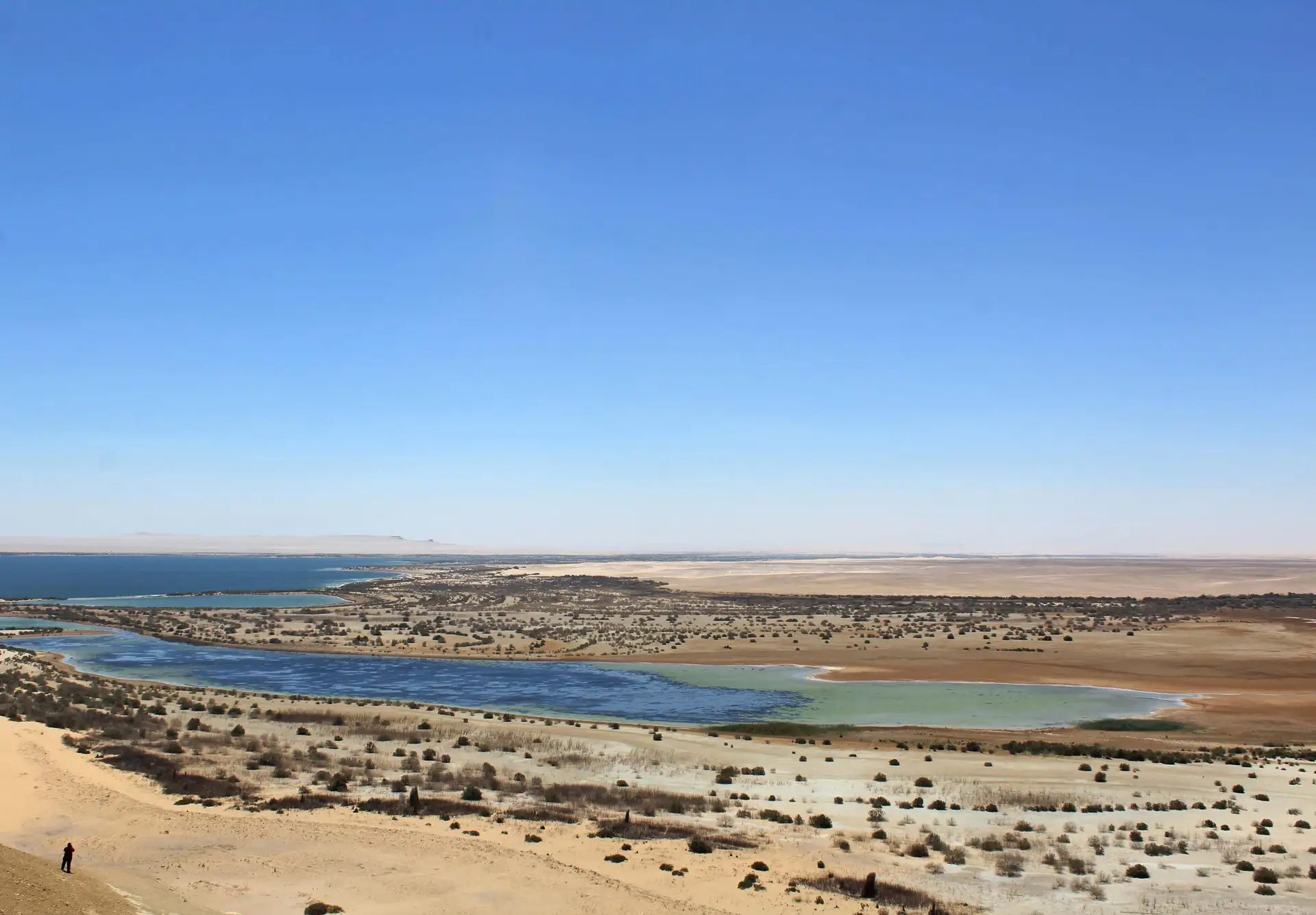 Full-Day El Fayoum & Wadi El Hitan Tour3