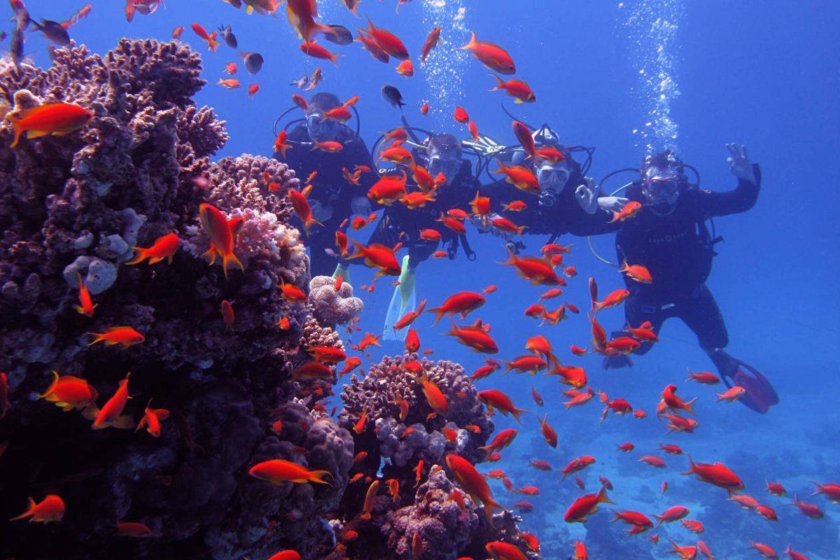 Diving-from-an-island-mahmya-from-Hurghada