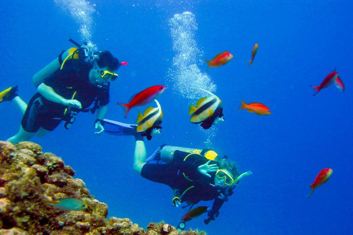 Hamata-Island-Snorkeling-
