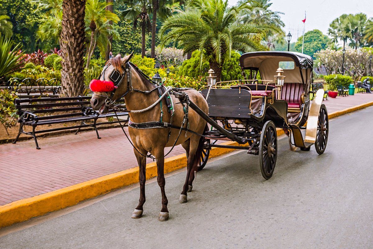Horse-Carriage-in-aswan