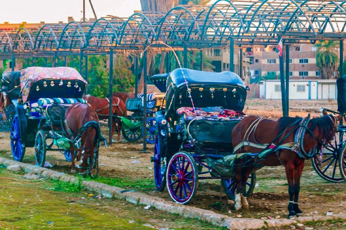 Luxor-by-Horse-Drawn-Carriage