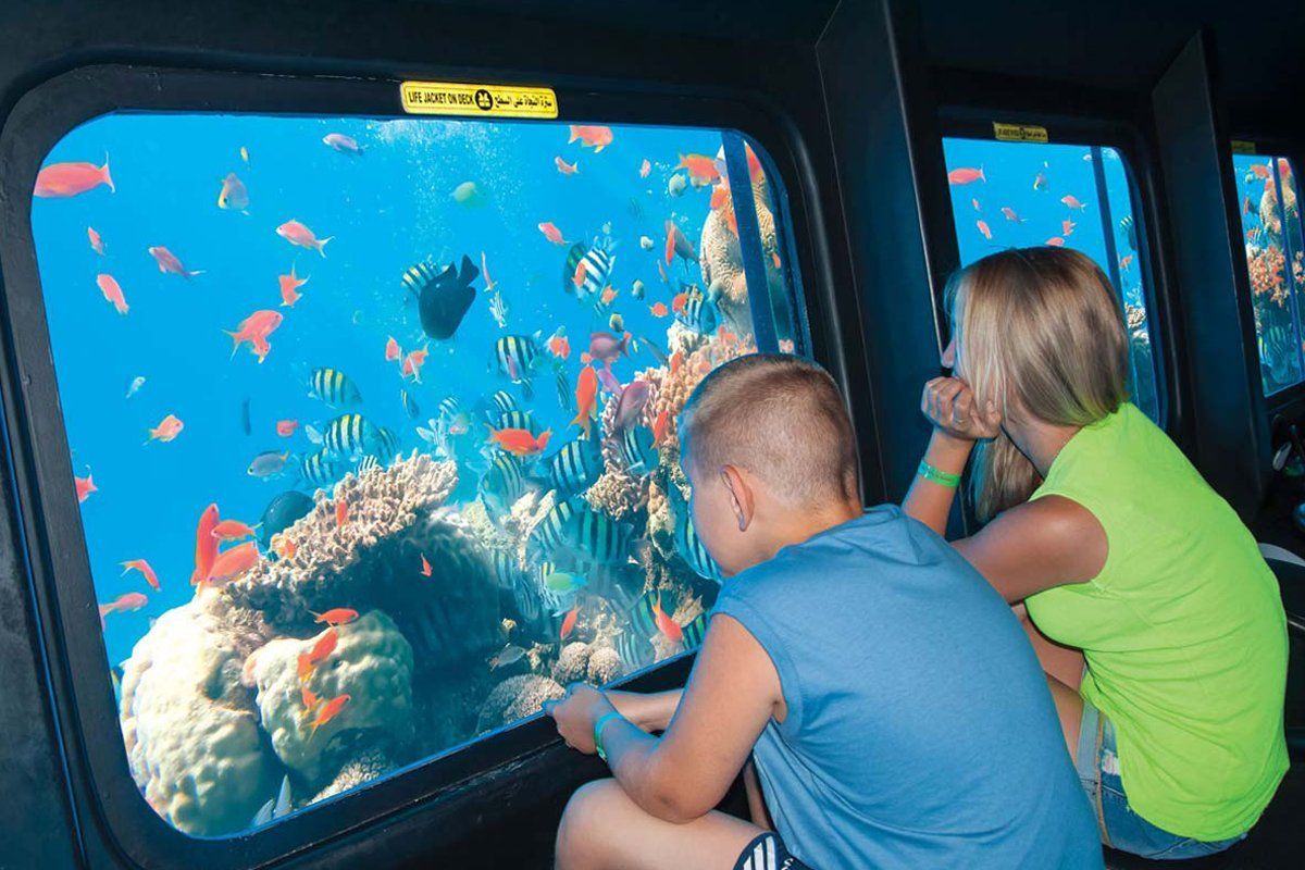 Picture-from-the-glass-submarine