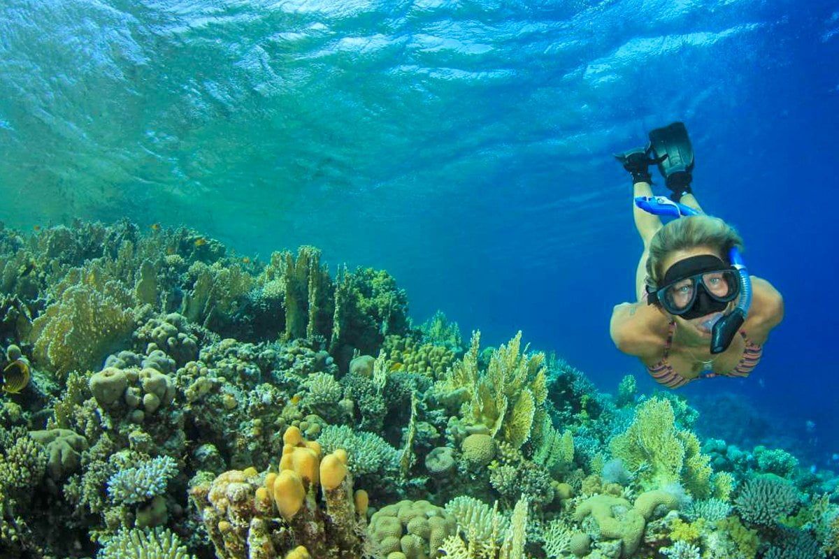 Snorkeling-Trip-at-Port-Ghalib