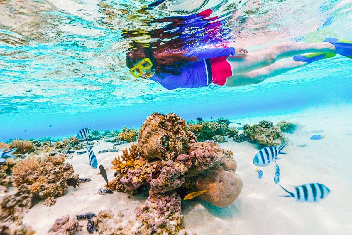 Snorkeling-Trip