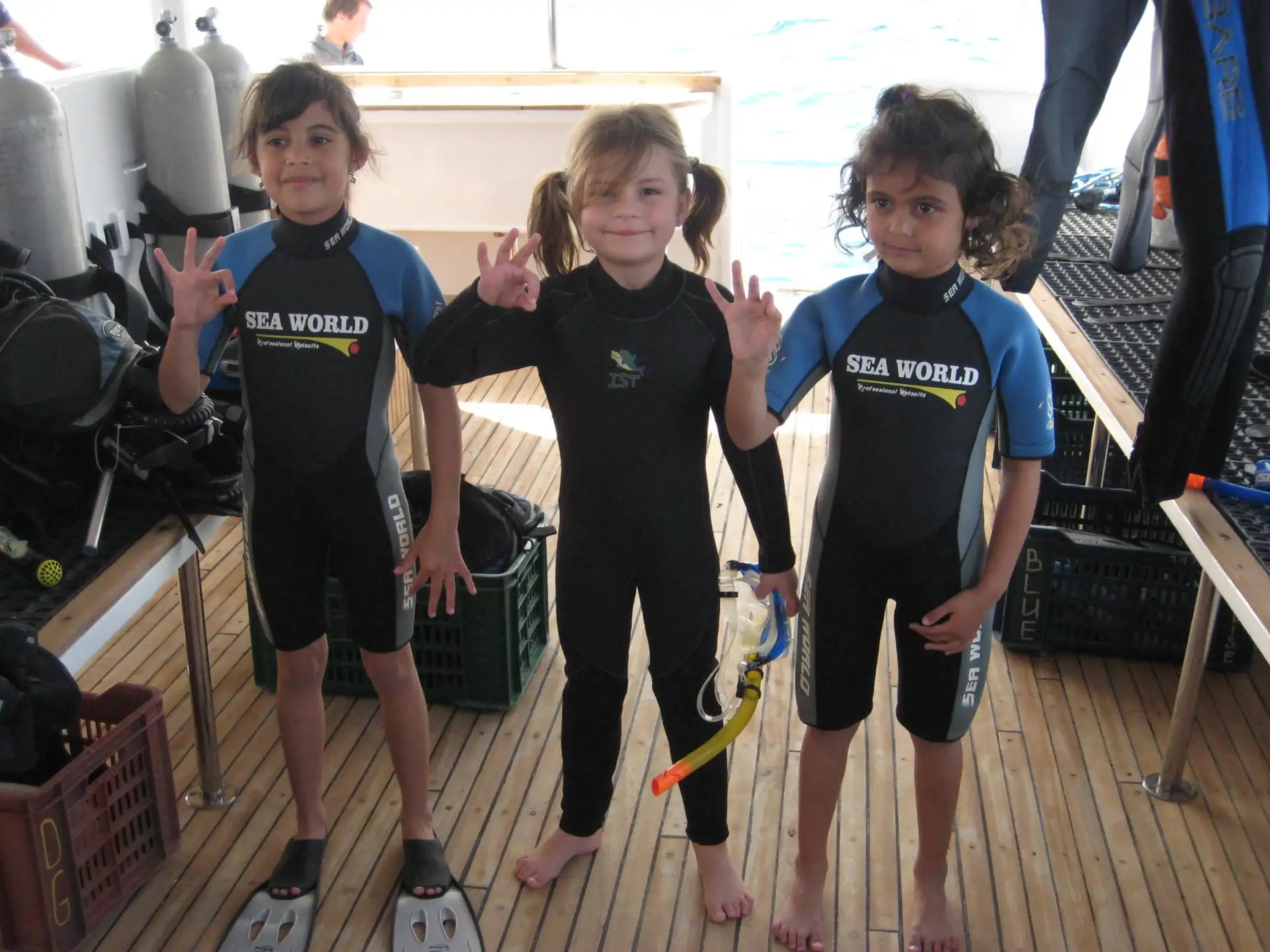 Dolphin 14