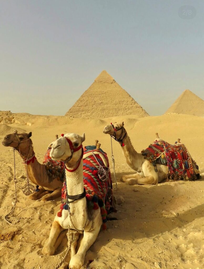 Egypt Pyramids Giza Tour Cairo Egypt Private Tour Package