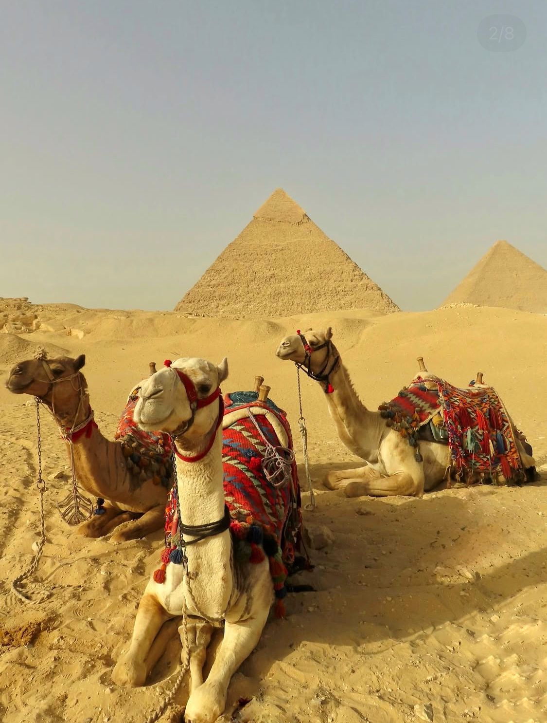 Family visiting the Pyramids of Giza Egypt